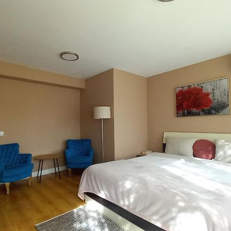 4 Seasons Apartments Bistriţa 외부 사진