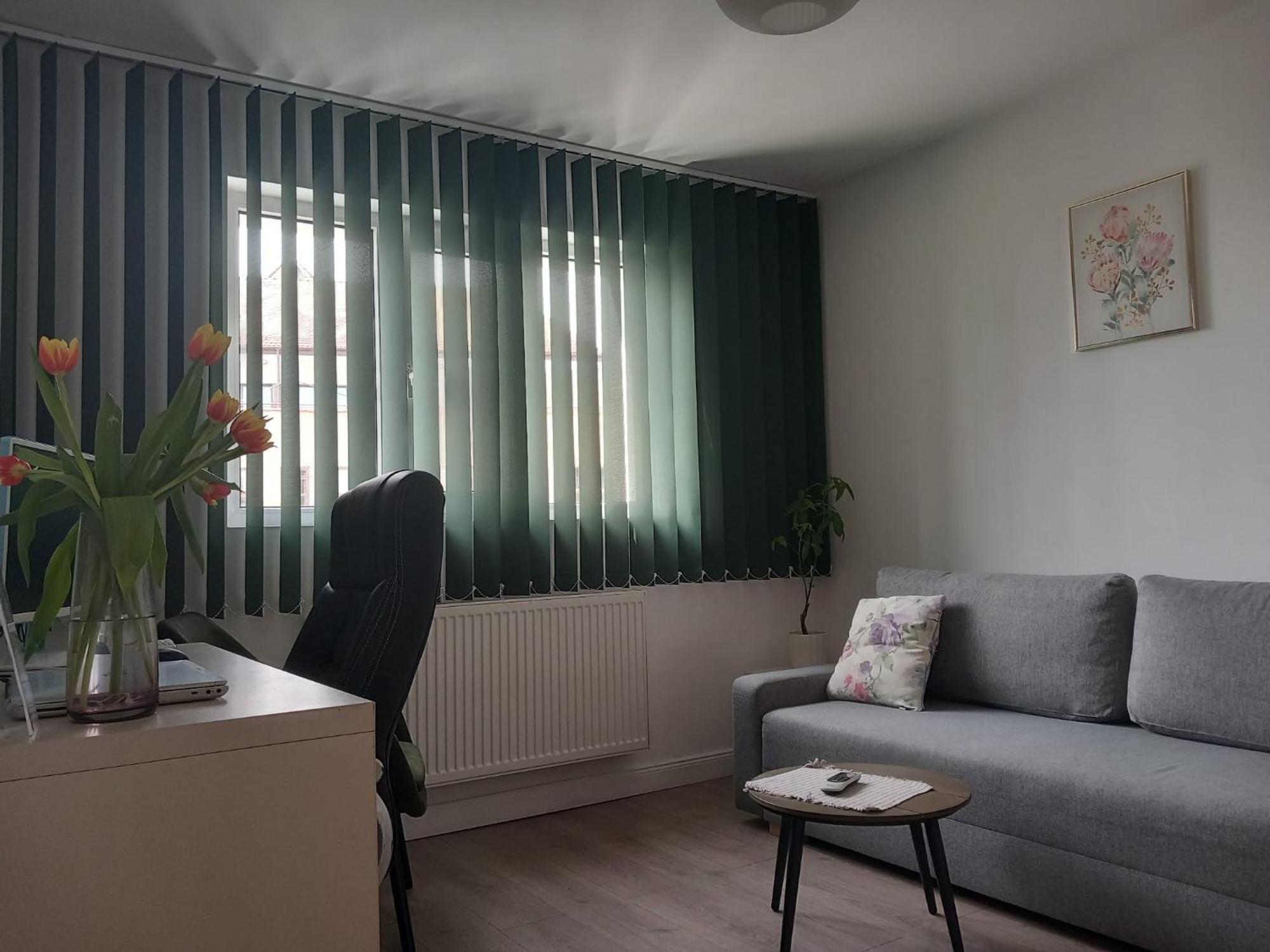 4 Seasons Apartments Bistriţa 외부 사진